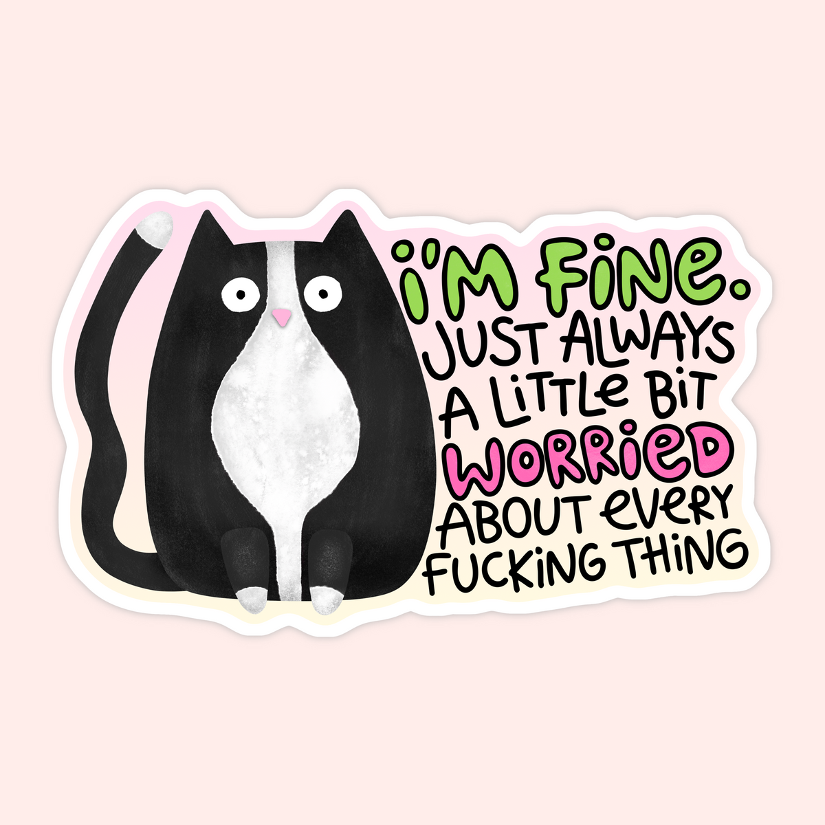 A die-cut sticker featuring a black and white cat next to the text 'I'M FINE. JUST ALWAYS A LITTLE BIT WORRIED ABOUT EVERY FUCKING THING' in green, pink, and black lettering, shown on a light pink background.