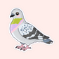 Cute illustrated pigeon vinyl sticker with pastel feathers, pink cheeks, and a soft pink background.