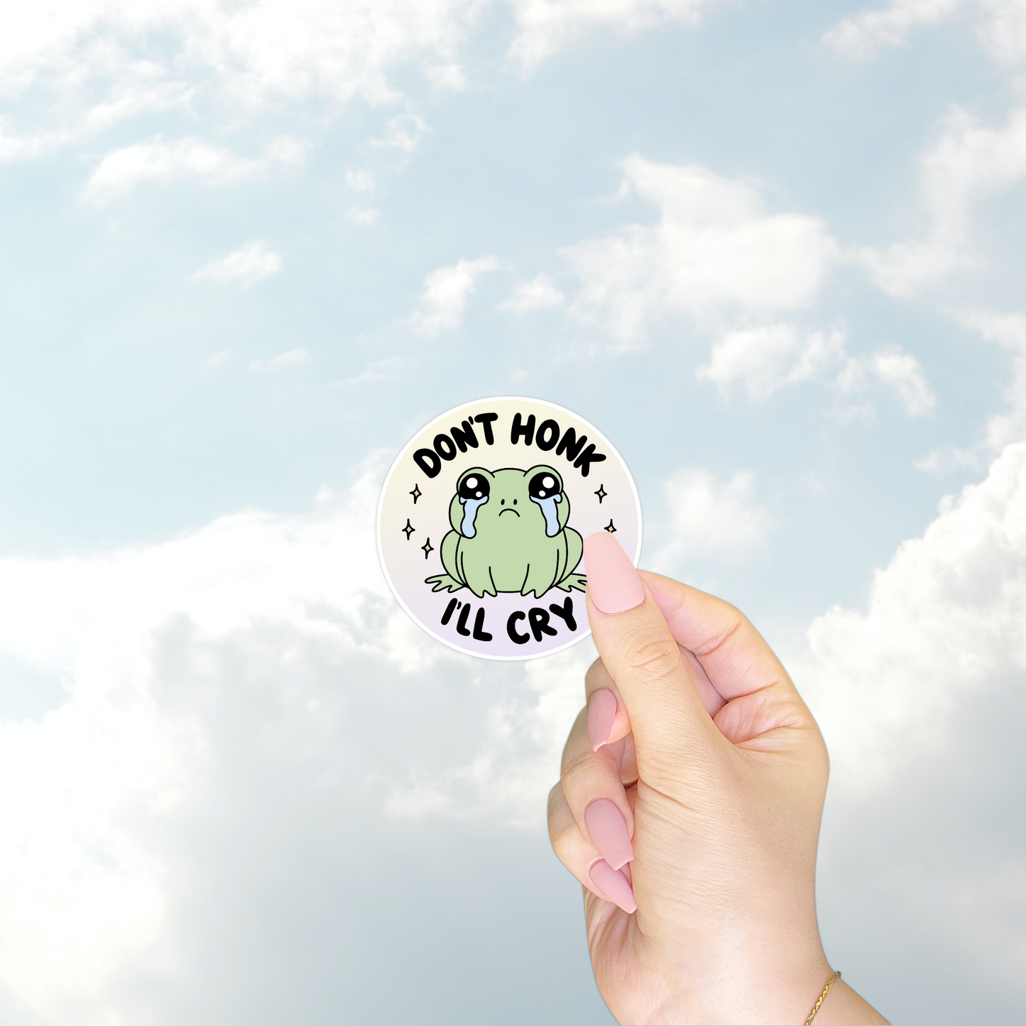 Don't Honk I'll Cry Sticker