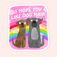 Two illustrated dogs sitting together in front of a rainbow with the phrase “I hope you like dog hair” on a pink background.