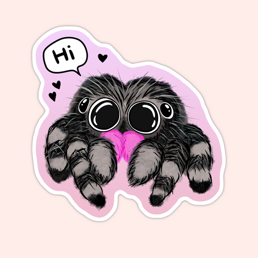 Hi Jumping Spider Sticker
