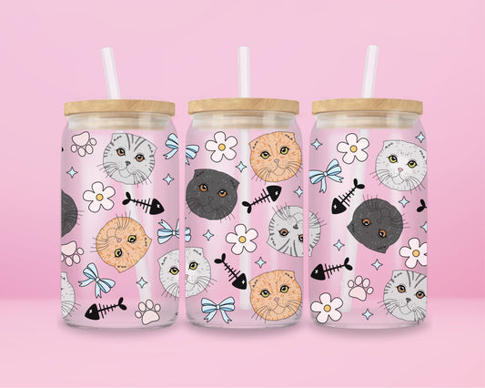 Scottish Fold Cat Glass Tumbler 🐱✨
