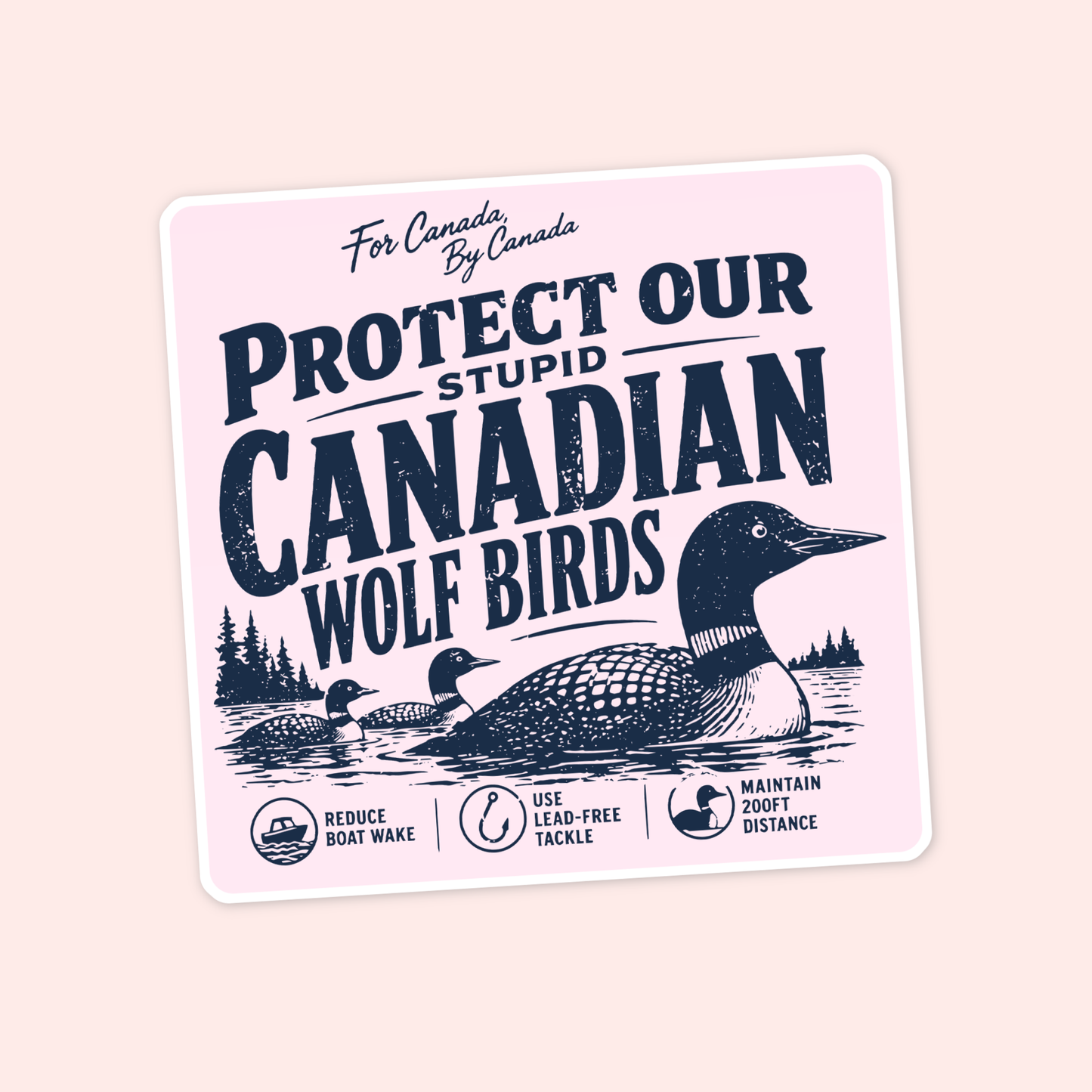 Canadian loon sticker with the phrase “protect our stupid Canadian wolf birds” and small icons for reducing boat wake, using lead-free tackle, and maintaining distance.