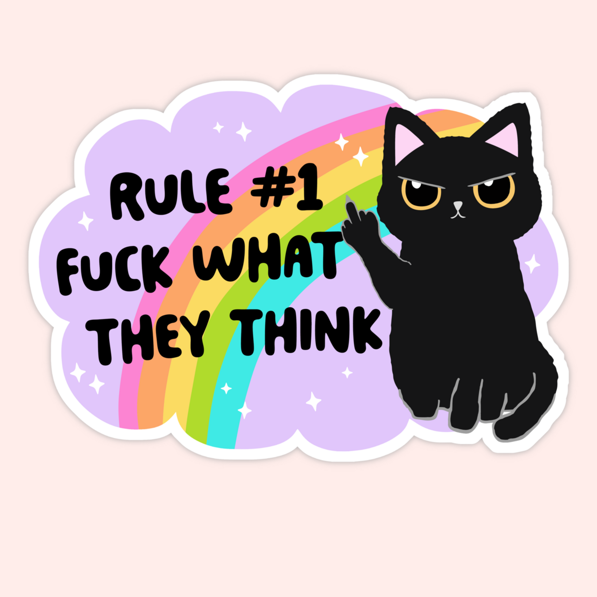 Black cat holding up a middle finger in front of a rainbow cloud with the text “Rule #1 fuck what they think.”