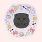 Scottish Fold & Fluffy Cat Stickers