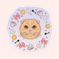 Scottish Fold & Fluffy Cat Stickers