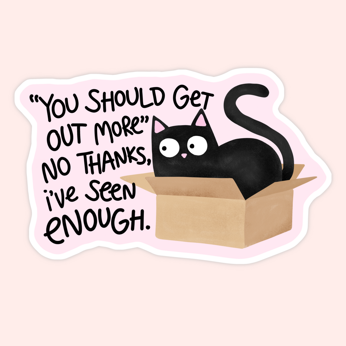 A die-cut sticker featuring a cartoon black cat sitting in a brown cardboard box with the text, “YOU SHOULD GET OUT MORE. NO THANKS, I'VE SEEN ENOUGH.